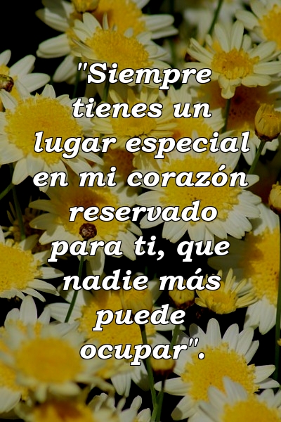 "Siempre tienes un lugar especial en mi corazón reservado para ti, que nadie más puede ocupar".