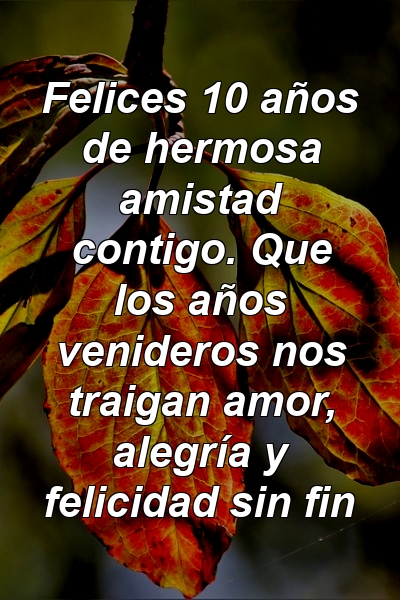 Felices 10 años de hermosa amistad contigo. Que los años venideros nos traigan amor, alegría y felicidad sin fin