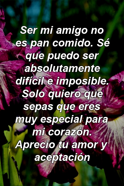 Ser mi amigo no es pan comido. Sé que puedo ser absolutamente difícil e imposible. Solo quiero que sepas que eres muy especial para mi corazón. Aprecio tu amor y aceptación