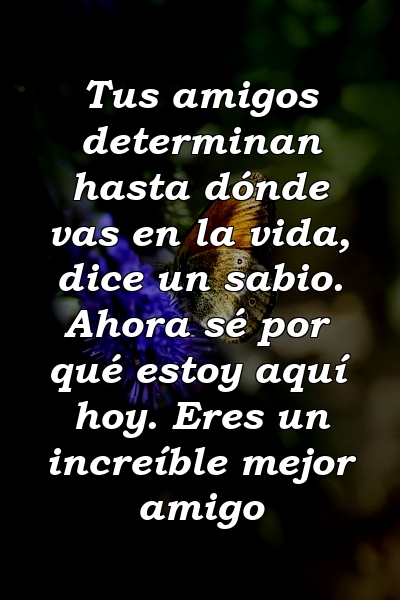 Tus amigos determinan hasta dónde vas en la vida, dice un sabio. Ahora sé por qué estoy aquí hoy. Eres un increíble mejor amigo