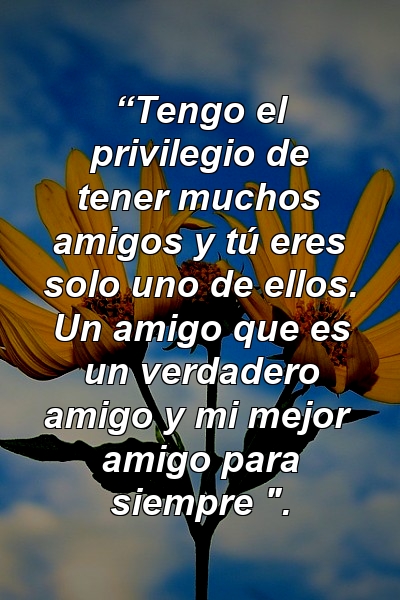 “Tengo el privilegio de tener muchos amigos y tú eres solo uno de ellos. Un amigo que es un verdadero amigo y mi mejor amigo para siempre ".