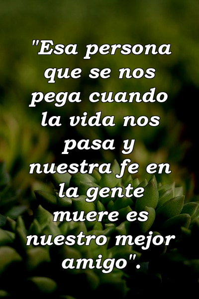 "Esa persona que se nos pega cuando la vida nos pasa y nuestra fe en la gente muere es nuestro mejor amigo".