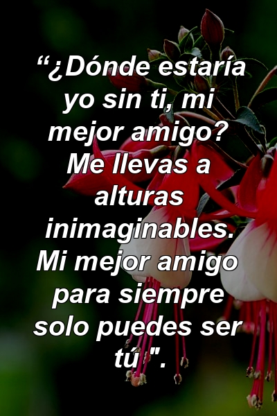 “¿Dónde estaría yo sin ti, mi mejor amigo? Me llevas a alturas inimaginables. Mi mejor amigo para siempre solo puedes ser tú ".