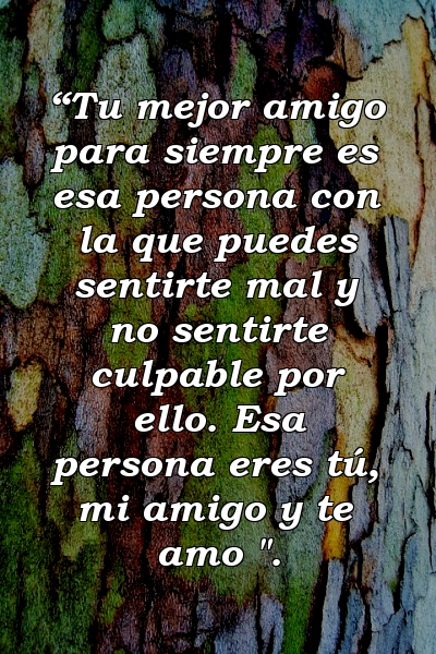 “Tu mejor amigo para siempre es esa persona con la que puedes sentirte mal y no sentirte culpable por ello. Esa persona eres tú, mi amigo y te amo ".