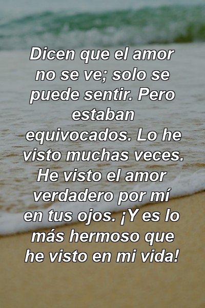 Dicen que el amor no se ve; solo se puede sentir. Pero estaban equivocados. Lo he visto muchas veces. He visto el amor verdadero por mí en tus ojos. ¡Y es lo más hermoso que he visto en mi vida!