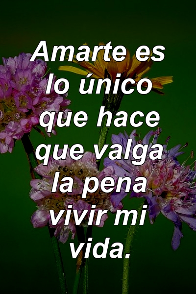 Amarte es lo único que hace que valga la pena vivir mi vida.