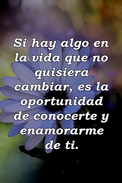 Si hay algo en la vida que no quisiera cambiar, es la oportunidad de conocerte y enamorarme de ti.