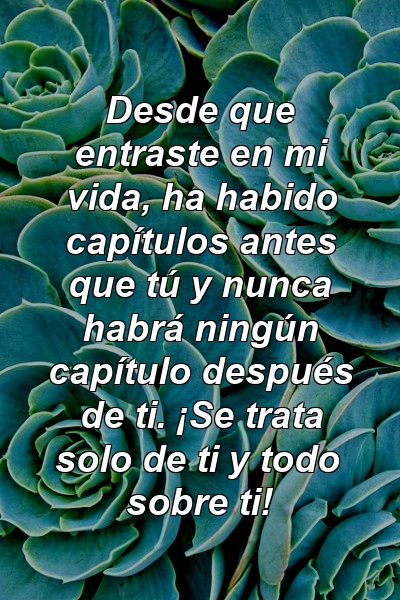 Desde que entraste en mi vida, ha habido capítulos antes que tú y nunca habrá ningún capítulo después de ti. ¡Se trata solo de ti y todo sobre ti!