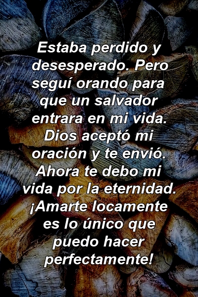 Estaba perdido y desesperado. Pero seguí orando para que un salvador entrara en mi vida. Dios aceptó mi oración y te envió. Ahora te debo mi vida por la eternidad. ¡Amarte locamente es lo único que puedo hacer perfectamente!