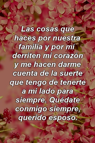 Las cosas que haces por nuestra familia y por mí derriten mi corazón y me hacen darme cuenta de la suerte que tengo de tenerte a mi lado para siempre. Quédate conmigo siempre, querido esposo.