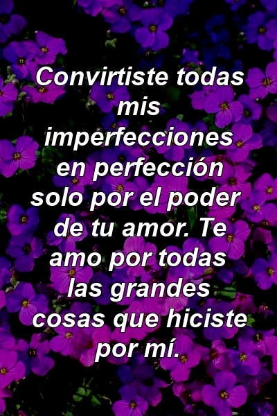 Convirtiste todas mis imperfecciones en perfección solo por el poder de tu amor. Te amo por todas las grandes cosas que hiciste por mí.