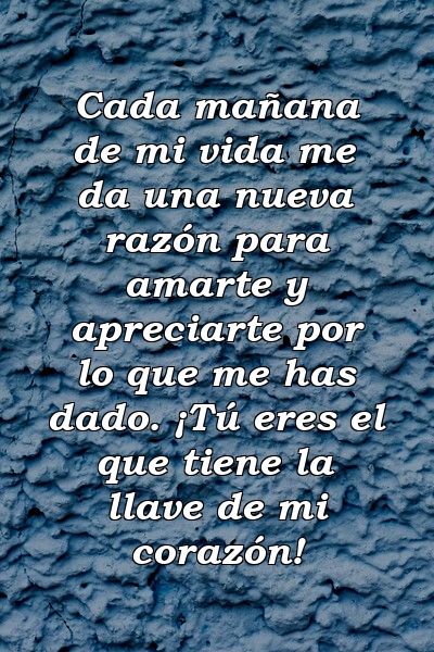 Cada mañana de mi vida me da una nueva razón para amarte y apreciarte por lo que me has dado. ¡Tú eres el que tiene la llave de mi corazón!