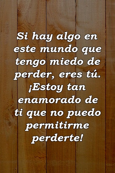 Si hay algo en este mundo que tengo miedo de perder, eres tú. ¡Estoy tan enamorado de ti que no puedo permitirme perderte!