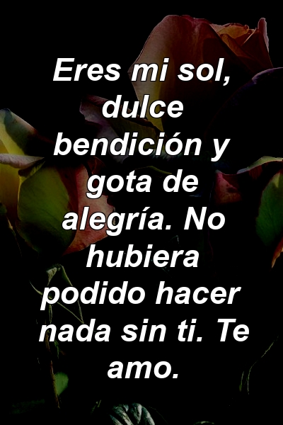 Eres mi sol, dulce bendición y gota de alegría. No hubiera podido hacer nada sin ti. Te amo.