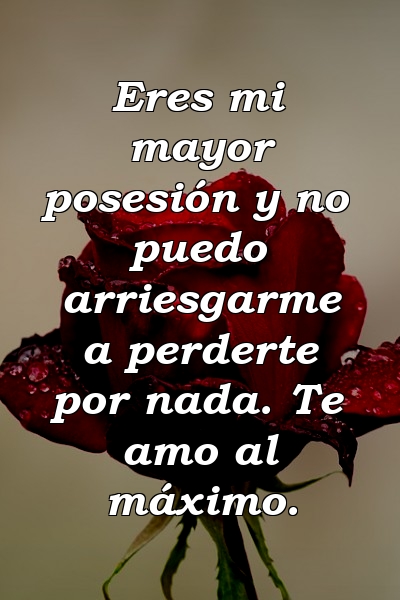 Eres mi mayor posesión y no puedo arriesgarme a perderte por nada. Te amo al máximo.