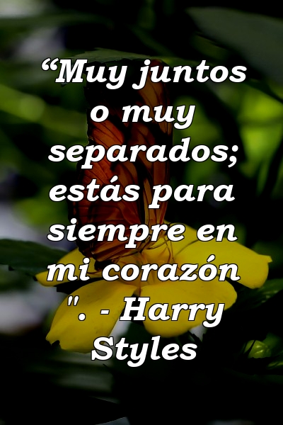 “Muy juntos o muy separados; estás para siempre en mi corazón ". - Harry Styles