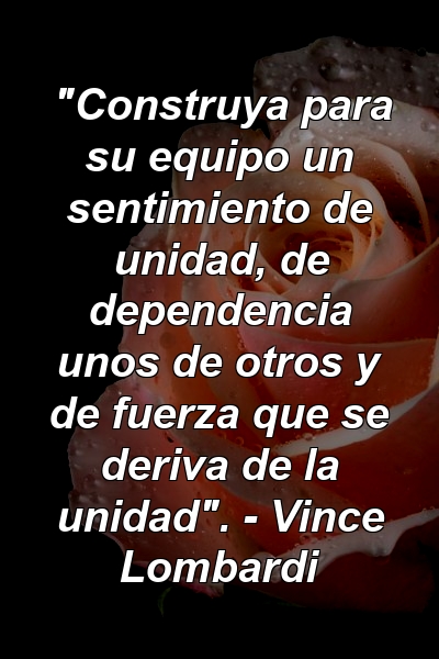 "Construya para su equipo un sentimiento de unidad, de dependencia unos de otros y de fuerza que se deriva de la unidad". - Vince Lombardi