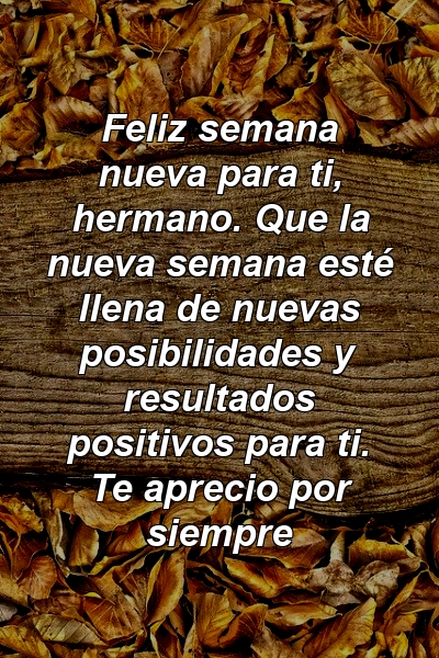 Feliz semana nueva para ti, hermano. Que la nueva semana esté llena de nuevas posibilidades y resultados positivos para ti. Te aprecio por siempre