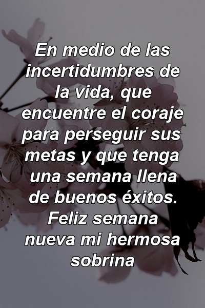 En medio de las incertidumbres de la vida, que encuentre el coraje para perseguir sus metas y que tenga una semana llena de buenos éxitos. Feliz semana nueva mi hermosa sobrina