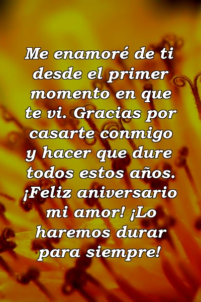 Me enamoré de ti desde el primer momento en que te vi. Gracias por casarte conmigo y hacer que dure todos estos años. ¡Feliz aniversario mi amor! ¡Lo haremos durar para siempre!