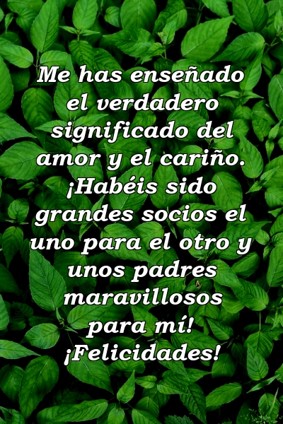 Me has enseñado el verdadero significado del amor y el cariño. ¡Habéis sido grandes socios el uno para el otro y unos padres maravillosos para mí! ¡Felicidades!