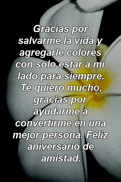 Gracias por salvarme la vida y agregarle colores con solo estar a mi lado para siempre. Te quiero mucho, gracias por ayudarme a convertirme en una mejor persona. Feliz aniversario de amistad.