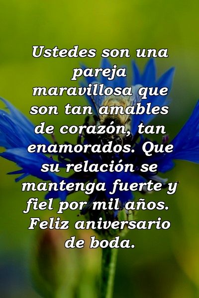 Ustedes son una pareja maravillosa que son tan amables de corazón, tan enamorados. Que su relación se mantenga fuerte y fiel por mil años. Feliz aniversario de boda.