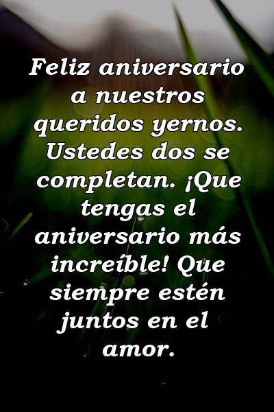 Feliz aniversario a nuestros queridos yernos. Ustedes dos se completan. ¡Que tengas el aniversario más increíble! Que siempre estén juntos en el amor.