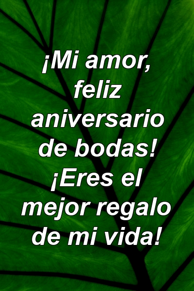 ¡Mi amor, feliz aniversario de bodas! ¡Eres el mejor regalo de mi vida!