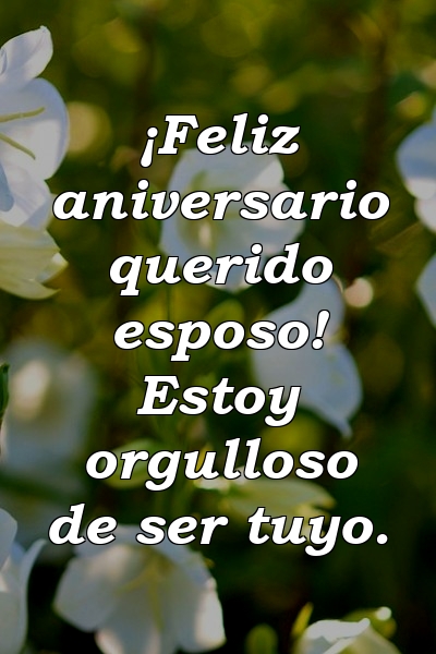 ¡Feliz aniversario querido esposo! Estoy orgulloso de ser tuyo.