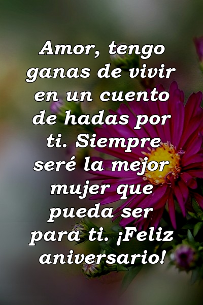 Amor, tengo ganas de vivir en un cuento de hadas por ti. Siempre seré la mejor mujer que pueda ser para ti. ¡Feliz aniversario!