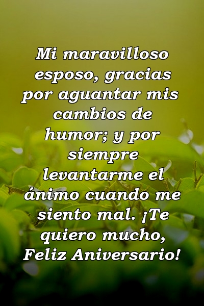 Mi maravilloso esposo, gracias por aguantar mis cambios de humor; y por siempre levantarme el ánimo cuando me siento mal. ¡Te quiero mucho, Feliz Aniversario!