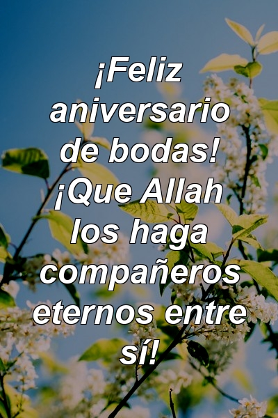 ¡Feliz aniversario de bodas! ¡Que Allah los haga compañeros eternos entre sí!