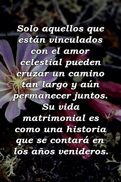 Solo aquellos que están vinculados con el amor celestial pueden cruzar un camino tan largo y aún permanecer juntos. Su vida matrimonial es como una historia que se contará en los años venideros.