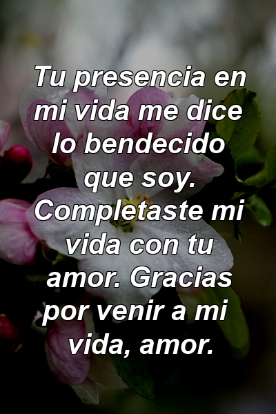 Tu presencia en mi vida me dice lo bendecido que soy. Completaste mi vida con tu amor. Gracias por venir a mi vida, amor.