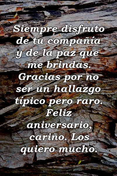 Siempre disfruto de tu compañía y de la paz que me brindas. Gracias por no ser un hallazgo típico pero raro. Feliz aniversario, cariño. Los quiero mucho.