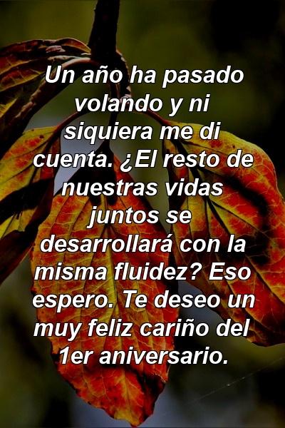 Un año ha pasado volando y ni siquiera me di cuenta. ¿El resto de nuestras vidas juntos se desarrollará con la misma fluidez? Eso espero. Te deseo un muy feliz cariño del 1er aniversario.