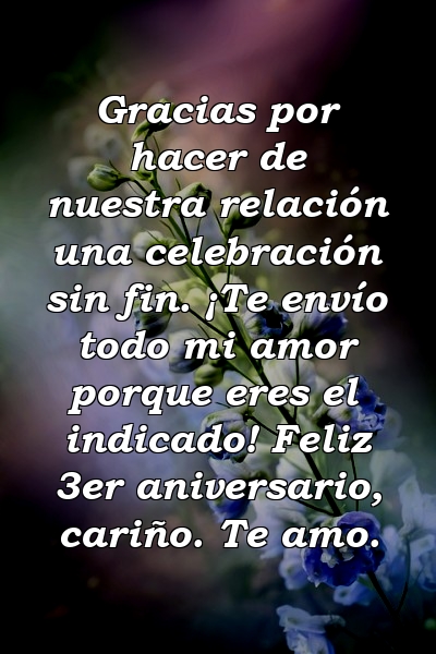 Gracias por hacer de nuestra relación una celebración sin fin. ¡Te envío todo mi amor porque eres el indicado! Feliz 3er aniversario, cariño. Te amo.