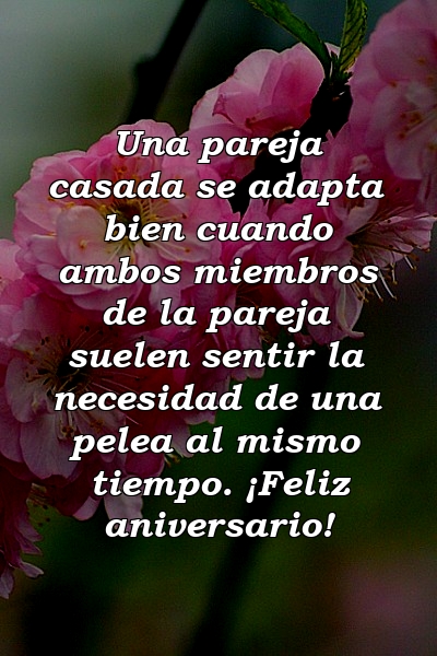 Una pareja casada se adapta bien cuando ambos miembros de la pareja suelen sentir la necesidad de una pelea al mismo tiempo. ¡Feliz aniversario!