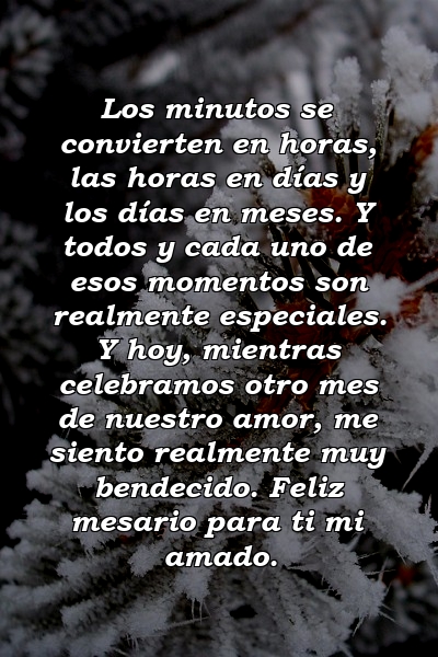 Los minutos se convierten en horas, las horas en días y los días en meses. Y todos y cada uno de esos momentos son realmente especiales. Y hoy, mientras celebramos otro mes de nuestro amor, me siento realmente muy bendecido. Feliz mesario para ti mi amado.