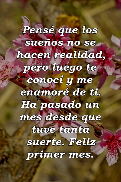 Pensé que los sueños no se hacen realidad, pero luego te conocí y me enamoré de ti. Ha pasado un mes desde que tuve tanta suerte. Feliz primer mes.