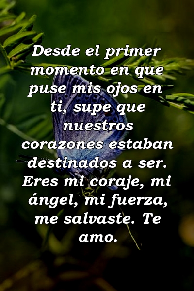 Desde el primer momento en que puse mis ojos en ti, supe que nuestros corazones estaban destinados a ser. Eres mi coraje, mi ángel, mi fuerza, me salvaste. Te amo.