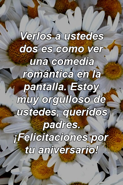 Verlos a ustedes dos es como ver una comedia romántica en la pantalla. Estoy muy orgulloso de ustedes, queridos padres. ¡Felicitaciones por tu aniversario!