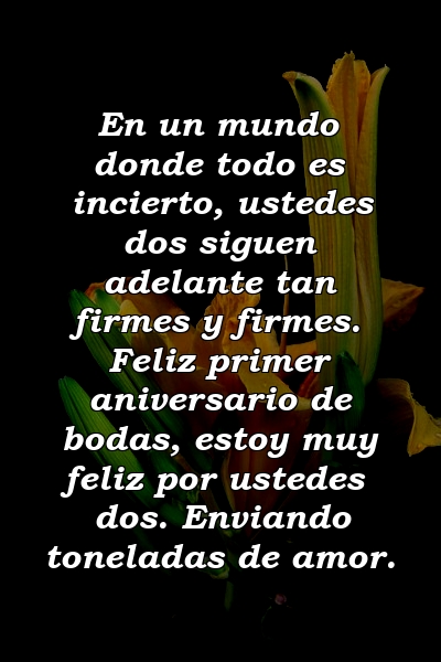 En un mundo donde todo es incierto, ustedes dos siguen adelante tan firmes y firmes. Feliz primer aniversario de bodas, estoy muy feliz por ustedes dos. Enviando toneladas de amor.