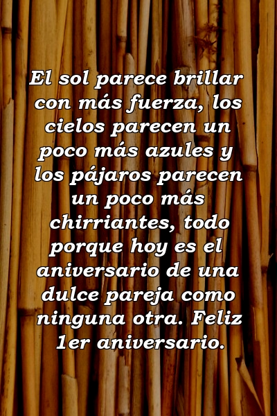 El sol parece brillar con más fuerza, los cielos parecen un poco más azules y los pájaros parecen un poco más chirriantes, todo porque hoy es el aniversario de una dulce pareja como ninguna otra. Feliz 1er aniversario.