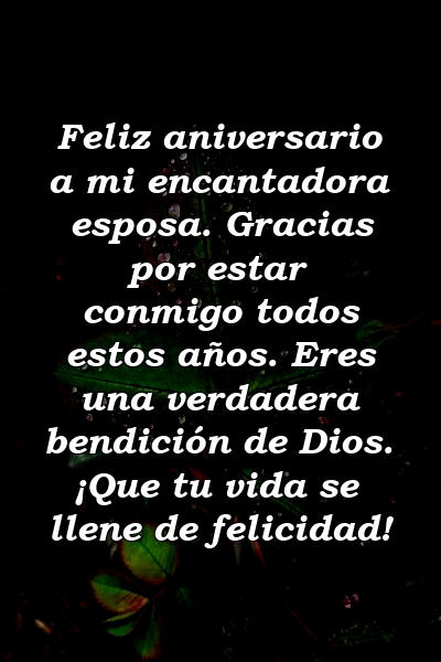 Feliz aniversario a mi encantadora esposa. Gracias por estar conmigo todos estos años. Eres una verdadera bendición de Dios. ¡Que tu vida se llene de felicidad!