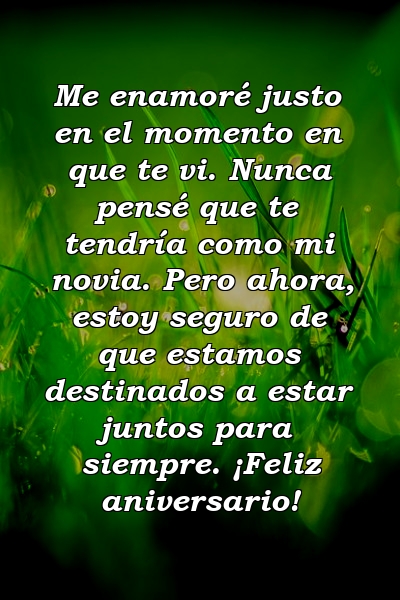 Me enamoré justo en el momento en que te vi. Nunca pensé que te tendría como mi novia. Pero ahora, estoy seguro de que estamos destinados a estar juntos para siempre. ¡Feliz aniversario!