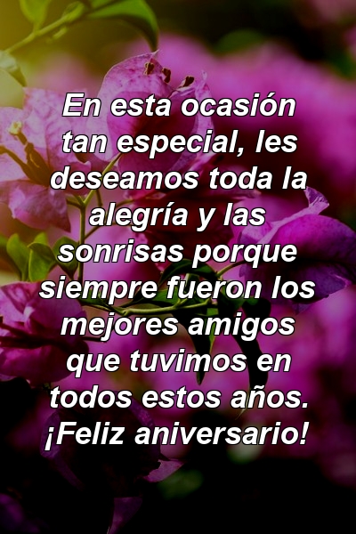 En esta ocasión tan especial, les deseamos toda la alegría y las sonrisas porque siempre fueron los mejores amigos que tuvimos en todos estos años. ¡Feliz aniversario!