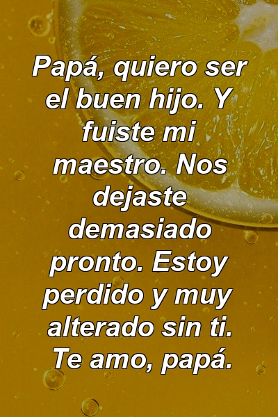 Papá, quiero ser el buen hijo. Y fuiste mi maestro. Nos dejaste demasiado pronto. Estoy perdido y muy alterado sin ti. Te amo, papá.